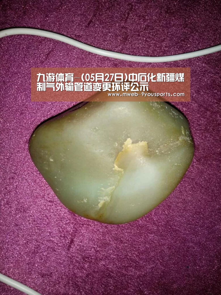 九游体育-(05月27日)中石化新疆煤制气外输管道变更环评公示(图3) 九游体育