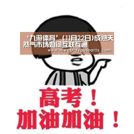 ‘九游体育’(11月22日)成熟天然气市场如何互联互通