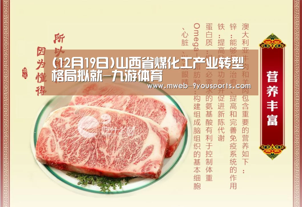 (12月19日)山西省煤化工产业转型格局拟就-九游体育